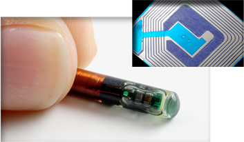 RFID Antenna